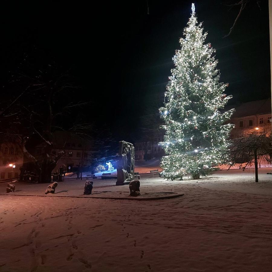 Appartamento U Váhy Jáchymov Esterno foto